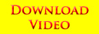 Download Video